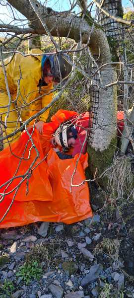 Thumbnail of photo from this article